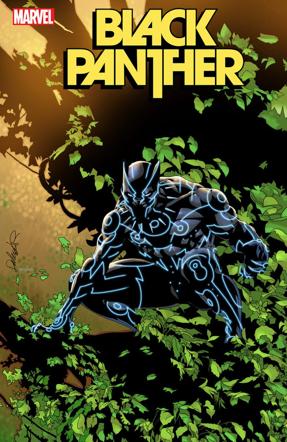 Black Panther #4 Cassara Storm breaker Var