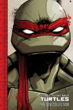 Tmnt Ongoing (Idw) Coll Tp Vol 01