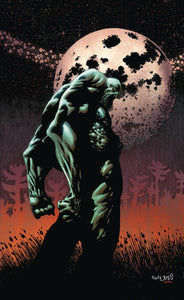 Swamp Thing The Dead Dont Slee p Tp