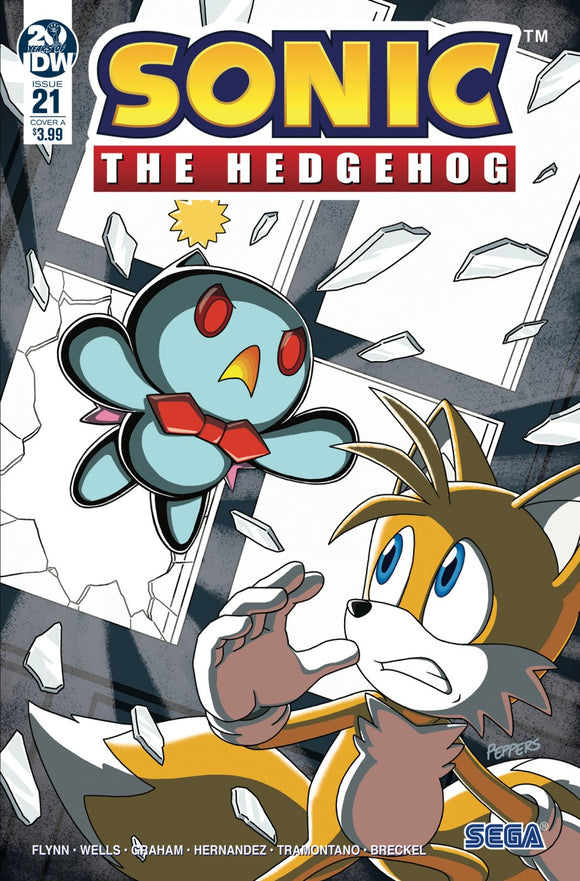 Sonic The Hedgehog #21 Cvr A H ammerstrom (C: 1-0-0)