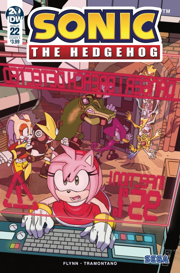 Sonic The Hedgehog #22 Cvr A J ampole (C: 1-0-0)