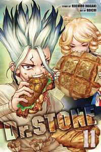 Dr Stone Gn Vol 11 (C: 1-1-2)