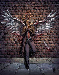 Hellblazer Rise & Fall Hc