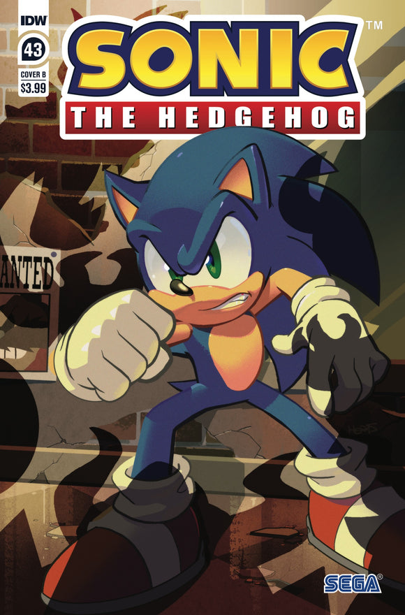 Sonic The Hedgehog #43 Cvr B M att Herms (C: 1-0-0)