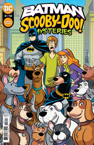 Batman & Scooby Doo Mysteries #3 (Mr)