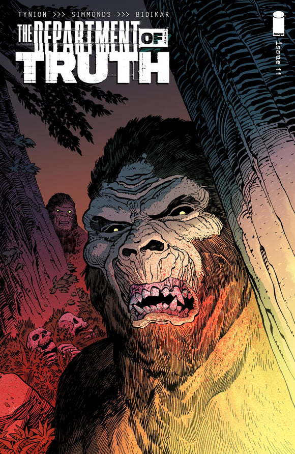 Department Of Truth #11 Cvr C Young (Mr)