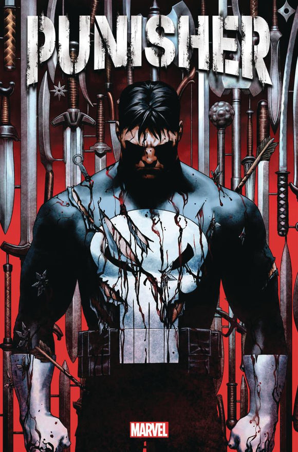 Punisher #1