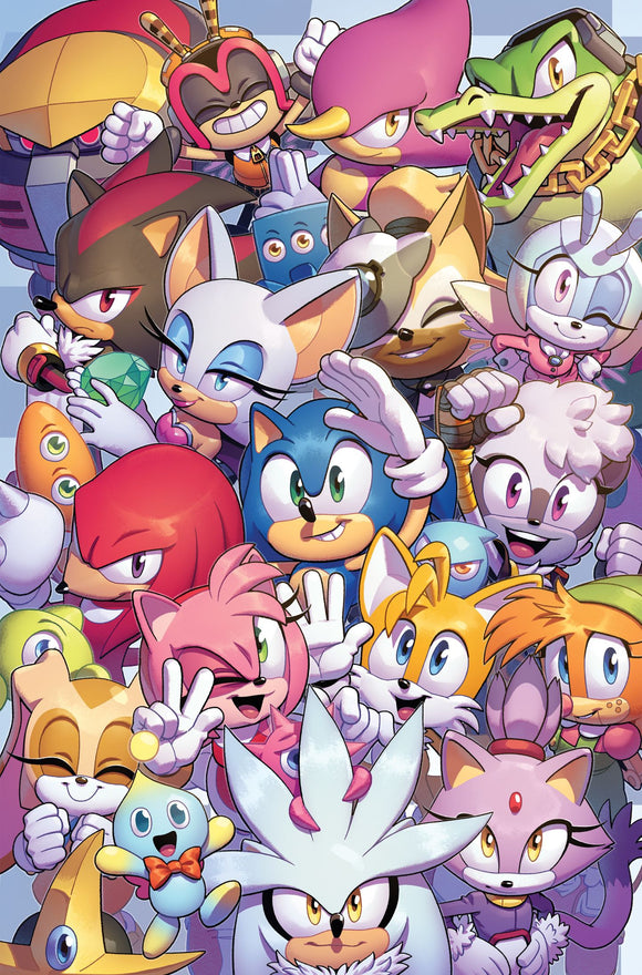 Sonic The Hedgehog #50 Cvr B E van Stanley (C: 1-0-0)