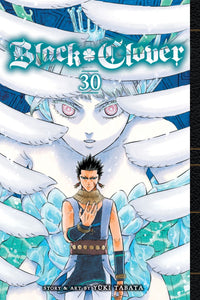 Black Clover Gn Vol 30 (C: 0-1 -2)