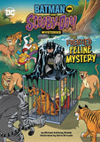 Batman Scooby Doo Mysteries Fr enzied Feline Mystery (C: 0-1-