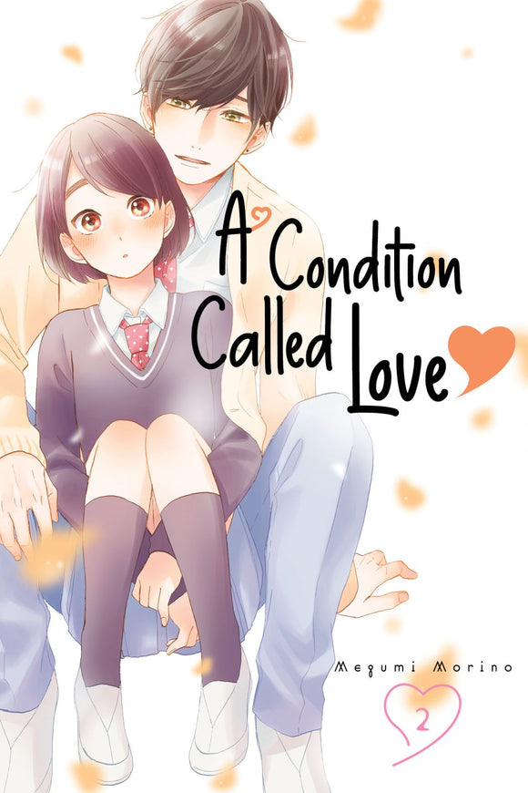 A Condition Of Love Gn Vol 02