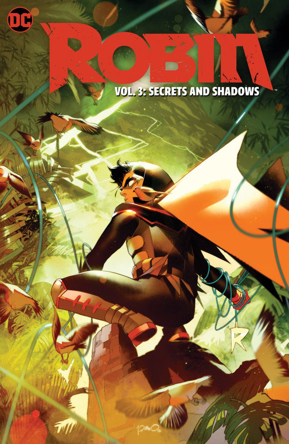 Robin Vol 03 Secrets And Shado ws Tp