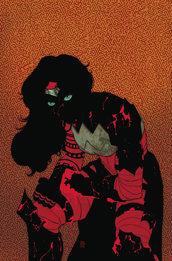 Absolute Wonder Woman #11 Cvr A Hayden Sherman