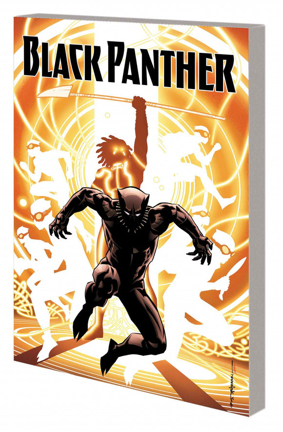 Black Panther Tp Book 02 Natio n Under Our Feet