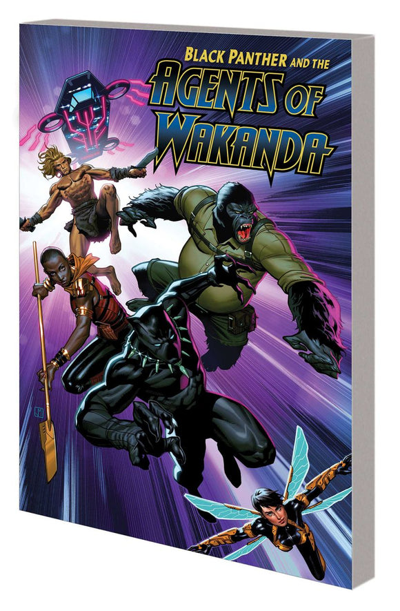 Black Panther And Agents Of Wa kanda Tp Vol 01