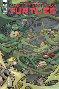 Tmnt Ongoing #107 Cvr A Daniel