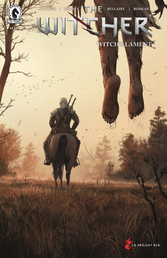 Witcher Witchs Lament #1 (Of 4 ) Cvr C Koidl